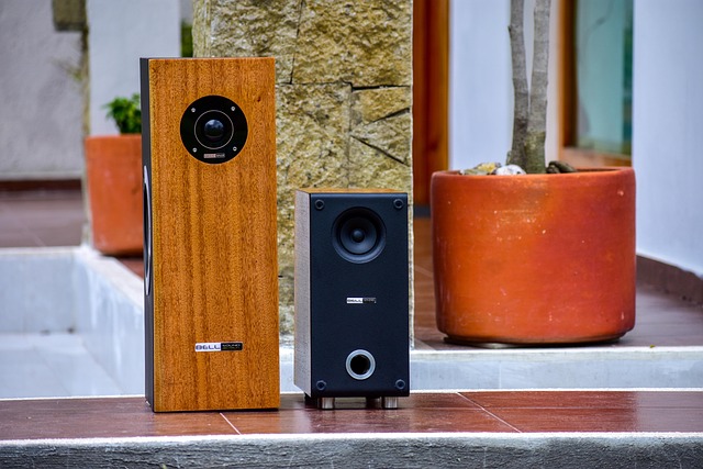 career transition psychology expert and educational speaker